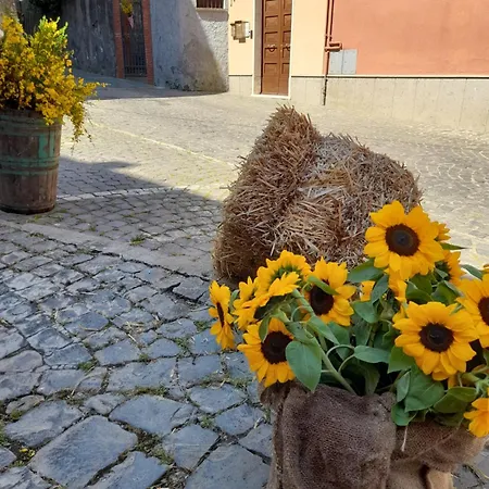 Apartment Mansarda Sul A